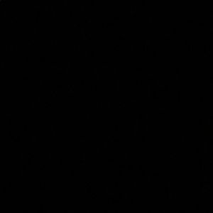 Meet your Posher, Liberty